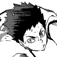 Iwaizumi Hajime 