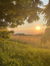 09- - Divider for TR