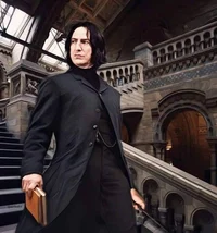 Sev Snape 