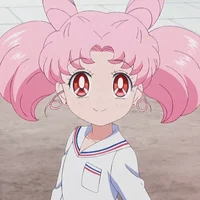 Chibiusa x Afton fam