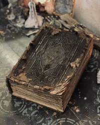 The forbidden Book 