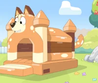 Chilli Bouncy Castle