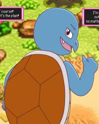 Myra the Squirtle