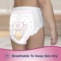 Paw patrol diapers 