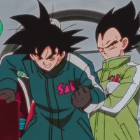 Goku and Vegeta