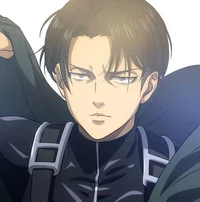 Levi
