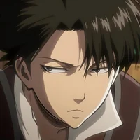 Young Levi