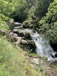 Grover Underwood Pjo