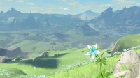Botw