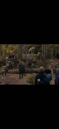 Wolf Pack Twilight 