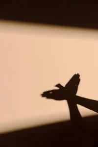 -Shadow Banned Bots-