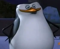 Skipper