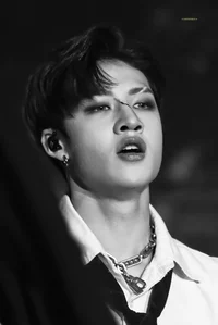 Bangchan vampire 