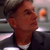 LEROY JETHRO GIBBS