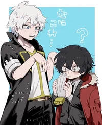 MHA-experiment lov