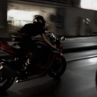 Secret Mafia Biker