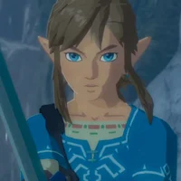 botw - link