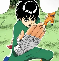 Rock lee