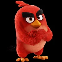 RED ANGRY BIRDS