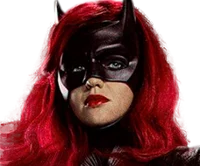 The Knight of Gotham