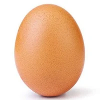 Egg