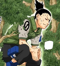 Shikamaru Nara 