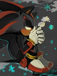 Shadow the Hedgehog