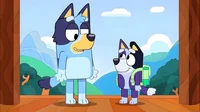 BLUEY AND ROXY