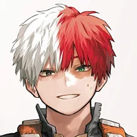 Shoto Todoroki