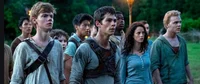 The Mazerunner