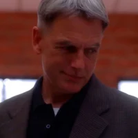 Leroy Jethro Gibbs 