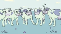 Flatulent cows 