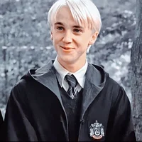5th year Draco 