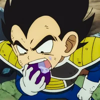 020 VEGETA
