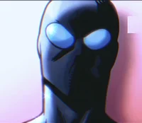 Invincible-Full Mask