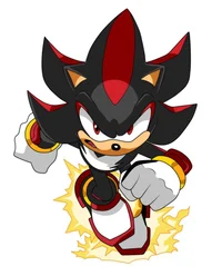 Shadow the Hedgehog