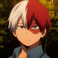 Shoto Todoroki