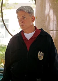 Leroy Jethro Gibbs