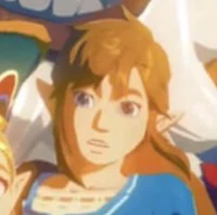Link- BoTW 