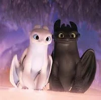 Night and light fury