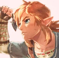 Link