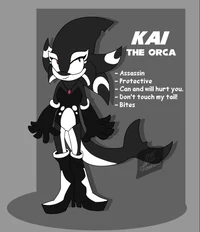 Kai the Orca