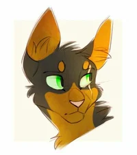 Dominoclaw