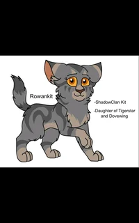 Warrior cats RP