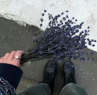 Alabaster torrington