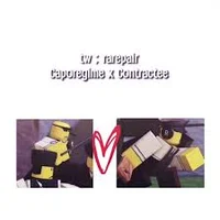 COPEREGIME CONTRACTE