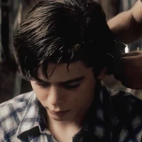 Ponyboy Curtis 