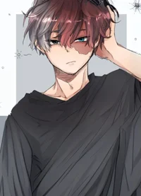 Shoto Todoroki