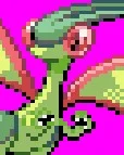 flygon lady