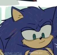 Sonic -sonadow-